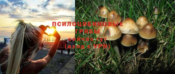 ешки Абдулино