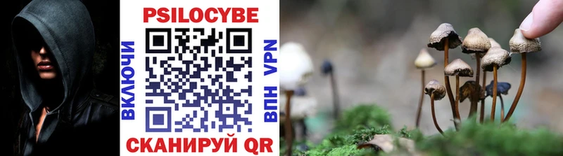 Псилоцибиновые грибы мицелий Гусиноозёрск